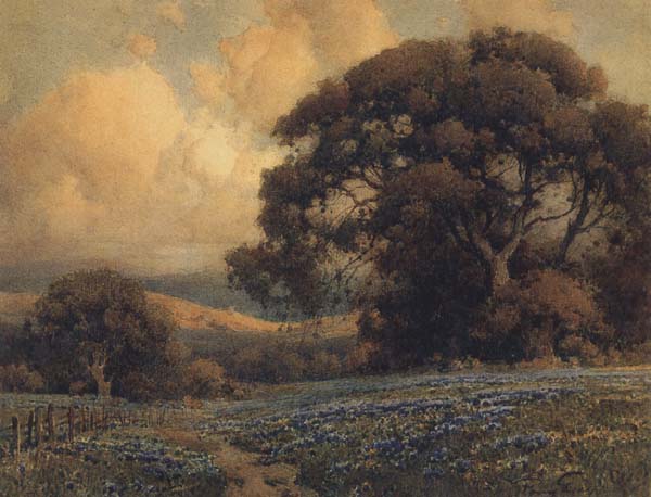 California landscape